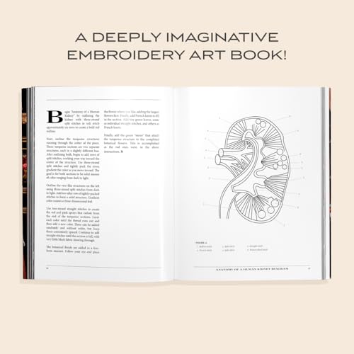 Stitchcraft: An Embroidery Book of Simple Stitches and Peculiar Patterns B Blue Star Press