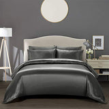 AiMay 3 Piece Satin Duvet Cover Set Bedding Sets Luxury Rich Silk Silky Super Soft Solid Color Reversible Stain-Resistant Wrinkle Free (Queen, D-Grey) AiMay