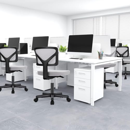 DUMOS Small Office Chairs with Wheels, Ergonomic Adjustable Home Desk Swivel Rolling Task Chair No Arms, Comfy Mesh Mid Back Computer Work Vanity Desk Chairs for Small Spaces, Dark Grey DUMOS