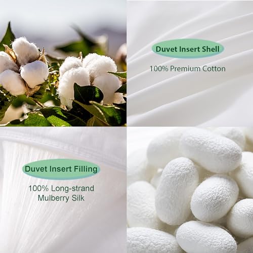 THE COTTON & SILK®️ 100% Mulberry Silk Filled Comforter for Spring/Fall/Mild Summer - Luxury, Ultra Soft, Breathable, Naturally Body-Hugging Silk Duvet Insert/Bedding Blanket - Twin Size THE COTTON & SILK