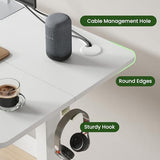 Casaphoria 48 x 24 inches Electric Standing Desk, Sit to Stand Desk with Memory Height Adjustment, Home Office Computer Desk for Writing and Games, White Casaphoria