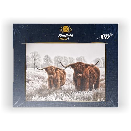 MyPuzzle Hairy Scottish Highland Cattle in A Winter Landscape - Premium 1000 Piece Jigsaw Puzzle for Adults