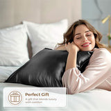 Pure Bedding Satin Pillowcase 2 Pack - Queen Size (20"x30", Black) - Silky Pillow Cases for Hair and Skin - Satin Pillow Covers with Envelope Closure - Extra Soft Premium Microfiber Pure Bedding