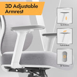 HOLLUDLE Ergonomic Mesh Office Chair - 3D Adjustable Lumbar Support & 3D Armrests, V-Shaped Back, Adjustable Desk Chair for Office & Home, White HOLLUDLE