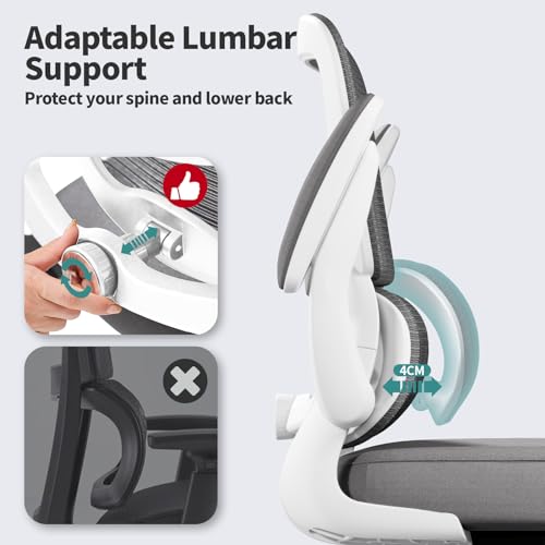TRALT Office Chair - Ergonomic Desk Chair with Adjustable Lumbar Support, Mesh Computer Chair, Executive Chairs for Home Office Comfortable Lumbar Support (White) TRALT