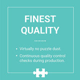 Galison Mixtapes 1000 Piece Puzzle from Galison - Beautiful Photographic Jigsaw Puzzle from Julie Seabrook Ream, 27" x 20", Perfect for Old School Music Lovers, Unique Gift Idea Galison