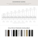 Progress Lighting P250000-129 Springer Collection DC Motor Windmill Farmhouse, 60-Inch, 12-Blade Ceiling Fan, Architectural Bronze Progress Lighting