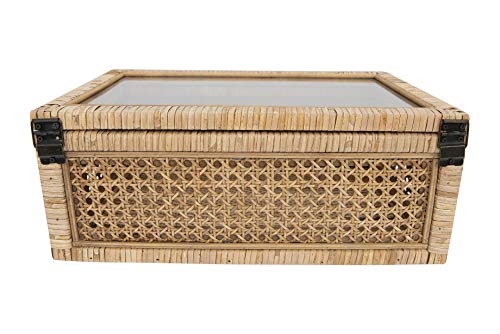 Creative Co-Op Modern Decorative Rectangle Woven Rattan and Wood Display Boxes with Glass Top, Set of 2 Sizes, Natural Finish Creative Co-Op