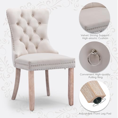 SoarTalent Velvet Upholstered Dining Chairs Set of 2, Modern Style Kitchen Side Chairs with Nailhead Trim and Wood Legs,Metal Pulling Ring for Dining Room Living Room(Beige,Set of 2) SoarTalent