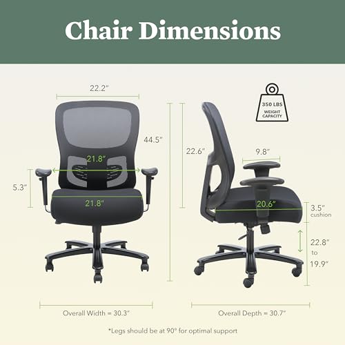 HON Sadie Big and Tall Office Chair, Ergonomic Desk Chair with Mesh Back, Lumbar Support, 350 lb Max, Black HON