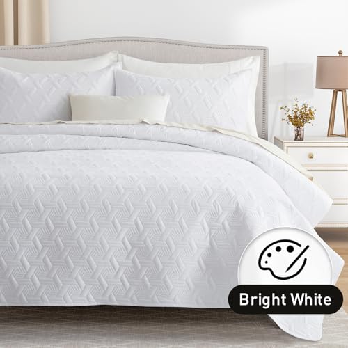 Lavsiry White Queen Size Quilt Bedding Set with Pillow Shams, Summer Lightweight Bedspread Coverlet, Soft Quilted Blanket Thin Comforter for All Seasons Lavsiry