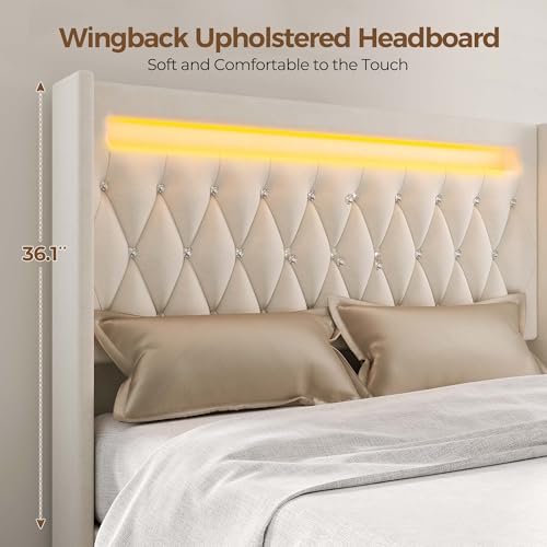 Rolanstar Queen Bed Frame with LED Light and Charging Station, Upholstered High Headboard and Footboard, Wood Slats, Noise Free, Easy Assembly, Beige Rolanstar