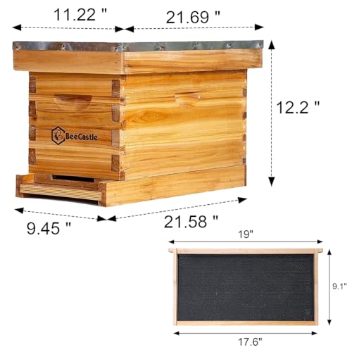 BeeCastle 5 Frame Bee Hive Nuc Box Coated with 100% Beeswax Includes Beehive Frames and Waxed Foundations BeeCastle