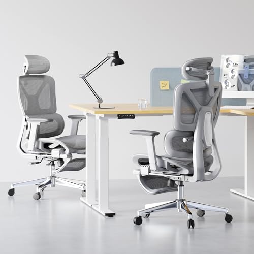 FLEXISPOT ErgoX Premium Ergonomic Office Chair with Footrest- Adjustable 3D Armrests, Dynamic Lumbar Support, Recline & Tilt Function, Mesh Seat, for Home & Office Use,Light Grey FLEXISPOT