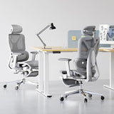 FLEXISPOT ErgoX Premium Ergonomic Office Chair with Footrest- Adjustable 3D Armrests, Dynamic Lumbar Support, Recline & Tilt Function, Mesh Seat, for Home & Office Use,Light Grey FLEXISPOT