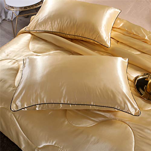 NTBED Sexy Silky Satin Comforter Sets Queen Golden Lightweight Soft Luxury Quilt 3-Pieces Microfiber Bedding Set Yellow (Gold, Queen) NTBED