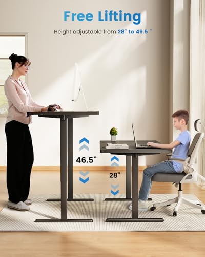 Zelimon Adjustable Standing Desk Electric Sit to Stand Up Desk 48"× 24" Memory Small Home Office Desk with Quiet Motor, Black - WoodArtSupply