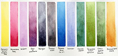 Daniel Smith 285650103 Extra Fine Inspirational Solid Watercolor Paint Set of 12 Half Pans, Metal Case and 12 Empty Containers DANIEL SMITH
