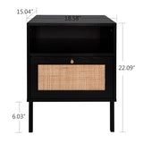 Natural Rattan Nightstands Set of 2, Accent End Table, Boho Bedside Table with 1 Hand Made Decorated Door for Living Room, Bedroom, Black Angel Sar