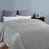 EASELAND Soft Queen Size Blanket Warm Microplush Lightweight Thermal Fleece Blankets for Couch Bed Sofa,90x90 Inches,Silver Gray EASELAND