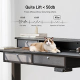 FEZIBO 63" Height Adjustable Electric Standing Desk with 4 Drawers, 63 x 24 Inch Table with Storage Shelf, Sit Stand Desk with Splice Board, Black Frame/Rustic Brown Top, 63 inch FEZIBO