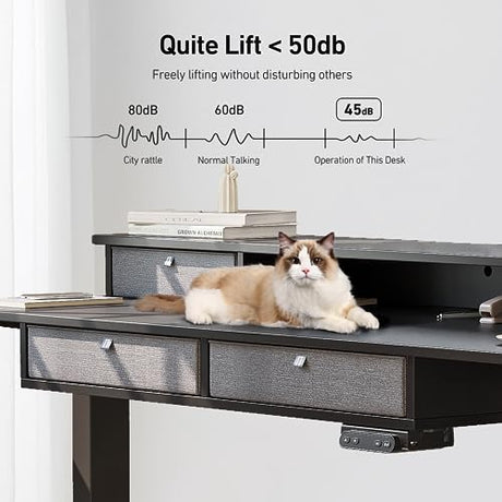 FEZIBO 63" Height Adjustable Electric Standing Desk with 4 Drawers, 63 x 24 Inch Table with Storage Shelf, Sit Stand Desk with Splice Board, Black Frame/Rustic Brown Top, 63 inch FEZIBO
