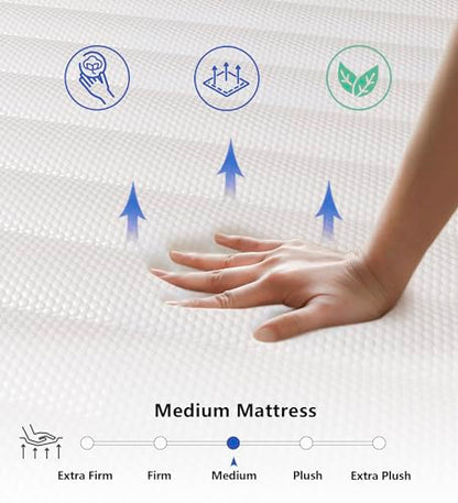 elitespace Queen Mattresses,10 Inch Queen Mattress in a Box,Memory Foam Hybrid Queen Size Mattress,Breathable Comfort Soft Mattress Pressure Relief.