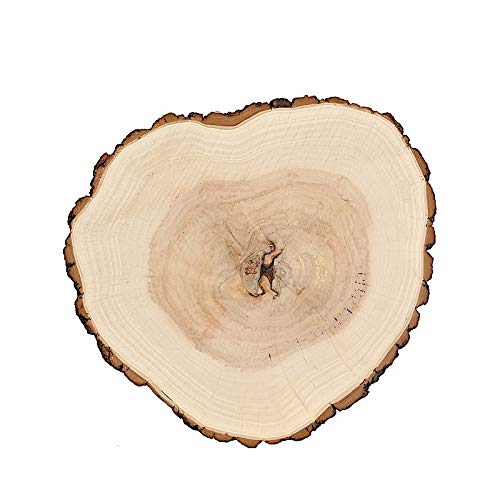 BalsaCircle 14-18-Inch Wide Natural Round Poplar Wooden Slices Party Tabletop Centerpieces - Wedding Party Crafts Home Decorations - WoodArtSupply