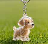 Dog Hair Collector Keychain Charm Memorial Storage Box, Transparent Bottle for Pet Hairs Keychain, Pets Fur Keepsake Keyring for Collecting Hair, Portable Pet Memory Capsule(2)