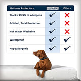AllerEase Waterproof Mattress Protector Stain Protection Twin Size Allergen Barrier Hot Water Washable Machine Washable Durable Zippered Knit Mattress Cover Stretch Corners (White) Aller-Ease