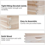 BeeCastle 10-Frame Complete Bee Hives and Supplies Starter Kit,Beehives for Beginners with Beehive Frames and Waxed Foundations (2 Deep Bee Boxes & 1 Medium Super Bee Box) BeeCastle