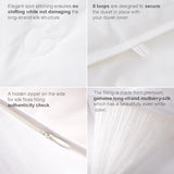 THE COTTON & SILK®️ 100% Mulberry Silk Filled Comforter for Spring/Fall/Mild Summer - Luxury, Ultra Soft, Breathable, Naturally Body-Hugging Silk Duvet Insert/Bedding Blanket - Twin Size THE COTTON & SILK