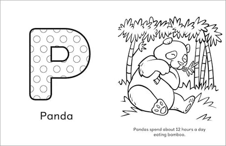 A Is for Animals!: Preschool Coloring Book Rockridge Press