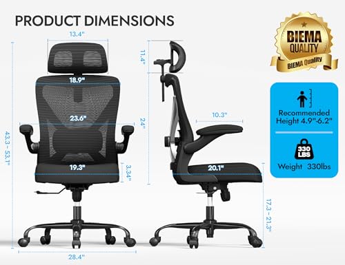Ergalithic Ergonomic Office Chair - X-Shaped Computer Desk Chair Comfy, Gaming Chair, Office Chair with Lumbar Support, Mesh Office Chairs with Headrests, Desk Chair for Long Hours (Black Silver) Ergalithic