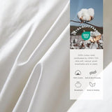 Royoliving Premium Feathers Down Duvet Insert Comforter Oversized King Size All Season Medium Warmth White 100% Cotton Cover with Corner Tabs (120x98, 77 oz) Royoliving