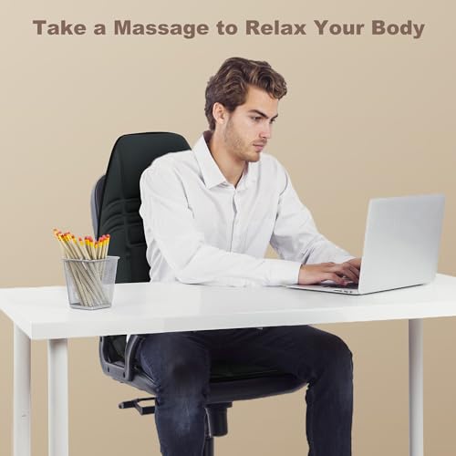 Heycool Vibration Back Massager with Heat, Massage Chair Pad with 10 Vibration Motors & 2 Heating Levels, Chair Massager for Recliner, Office Chair, Sofa Heycool