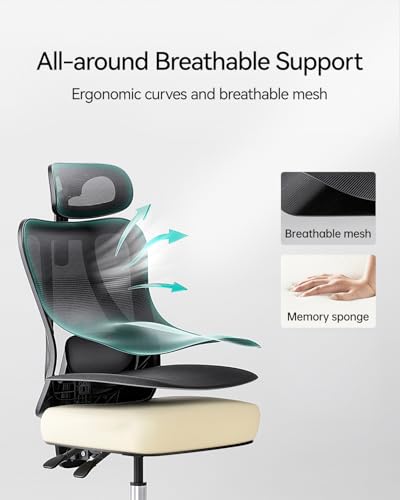 Hbada P3 Ergonnomic Office Chair with 2D Adjustable Lumbar Support, Office Chair with Adjustable Headrest and Armrest, 145° Stepless Tilt Function, Black(No Footrest) Hbada