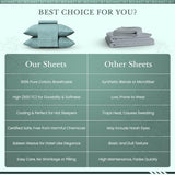 Feather & Stitch 500 TC Queen Size Bed Sheet Set, 100% Cotton Soft Breathable Bedsheets 4 Piece 18" Deep Pockets Sateen Weave Striped Bedding Mattress Resort Hotel Luxury - (Granite Green Stripe) FEATHER & STITCH NEW YORK
