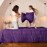 Exclusivo Mezcla Lightweight Reversible Queen Size Comforter Set, Down Alternative Comforter with 2 Pillow Sham, Queen Size Bedding Set for All Seasons, Deep Purple/Lilac Exclusivo Mezcla