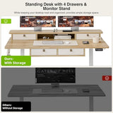 Grandder 47 Inch Electric Standing Desk with Four Drawers, Sit to Stand Up, Height Adjustable Desk with Storage Shelf for Home Office, Study, Ergonomic Adjustable Computer Desk, Oak Grandder