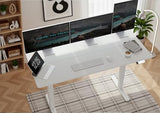 Seang Electric Height Adjustable Standing Desk, 55 x 24 Inch Sit-Stand Desk with T-Shaped Frame, 3 Memory Presets & Cable Management for Home Office Computer Workstation, White Frame/White Top Seang