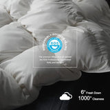 Royoliving Premium Feathers Down Duvet Insert Comforter King Size All Season Medium Warmth White 100% Cotton Cover with Corner Tabs (106x90, 60 oz) Royoliving