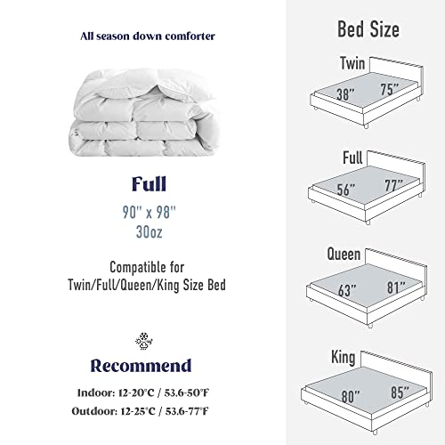 puredown® Goose Down Comforter Full/Queen Size 800 Fill Power, 100% Cotton All Season Duvet Insert 700 Thread Count, Cloud Fluffy Pinch Pleat Extra Warmth puredown