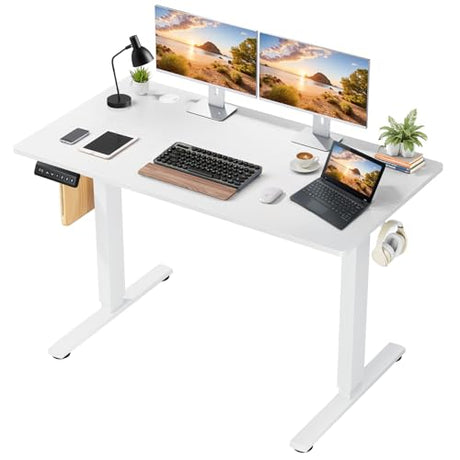 48 x 24 in Electric Standing Desk - Memory Height Adjustable Ergonomic Sit-to-Stand Rising Computer Table Gaming Workstations with 2 Hooks and Wire Hole for Home Office, White SageNest