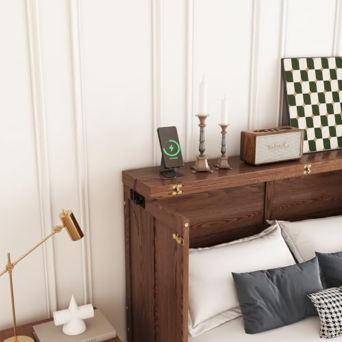 Ball & Cast Murphy Bed Queen W/Storage Drawer,Cabinet Bed W/ 2 2 USB Port & Power Outlets,Wall Bed Frame for Home Office,Apartment,Guest Room,Walnut Ball & Cast