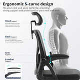Nexthro Office Chair,Ergonomic Desk Chair with Adjustable Lumbar Support,400 Lbs Mesh Computer Chair High Back with Headrest for Home Office (Black) Nexthro