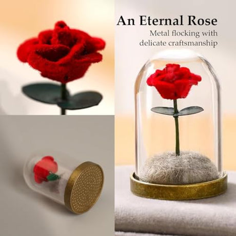 Lifelisa Pet Hair Memorial Bottle, Dog Cat Fur Memorial Keepsake, Pet Urns with Eternal Rose DIY, Dog Ashes Keepsake Small Pet Urn for Cat, Dog Memorial Gifts for Pet Loss(Red) (Red) Lifelisa
