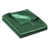 Ersmak Satin Flat Sheet Only, Single Flat Sheet Twin, Luxury & Ultra Soft Silky Bedding Top Sheet for Twin Mattress - Emerald Green Ersmak