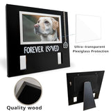 MYPAWLETS Dog/Cat Collar Memorial Frame with Paw Print Charm,Pet Loss Sympathy Gift,Pets Memorial Gift for Loss of Dog,Forever Loved Pet Keepsake Frame,Dogs Passing Away Gifts