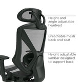 STAPLES Dexley Ergonomic Mesh Office Chair - Adjustable Height, Swivel Tilt, Lumbar Support, Black STAPLES